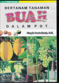 Image of Bertanam tanaman buah dalam pot