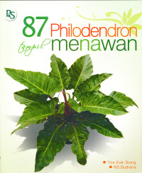 Image of 87 philodendron tampil menawan