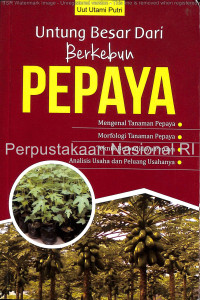 Image of Untung besar dari berkebun pepaya