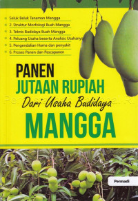 Image of panen jutaan rupiah dari usaha budidaya mangga