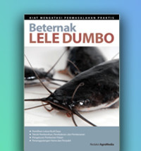 Image of beternak lele dumbo