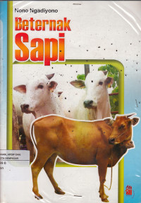 Image of Beternak Sapi