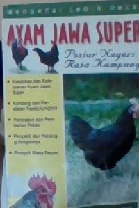 Image of AYAM JAWA SUPERPASTUR NEGERI RASA KAMPUNG