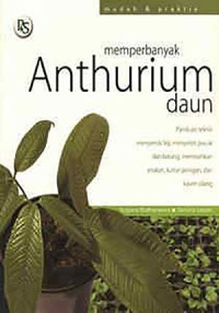 Image of MEMPERBANYAK ANTHURIUM DAUN