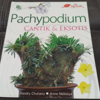Image of pachypodium cantik  dan eksotis