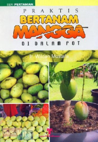 Image of PRAKTIS BERTANAM MANGGA DI DALAM POT