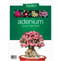 Image of Adenium bunga-bunga terbaik
