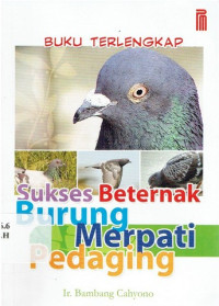 Image of SUKSES BETERNAK BURUNG MERPATI PEDAGING