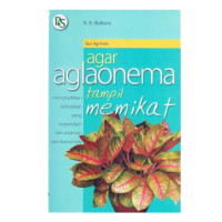 Image of AGAR AGLAONEMA TAMPIL MEMIKAT