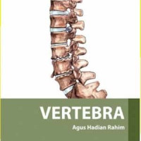 Image of VERTEBRA