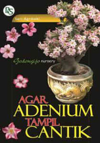 Image of AGAR ADENIUM TAMPIL CANTIK