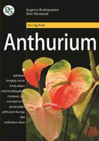Image of ANTHURIUM