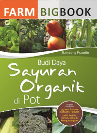Image of budi daya sayuran organik di pot