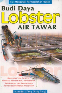 Image of Budi daya lobster air tawar