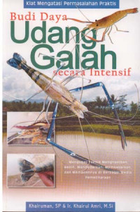 Image of Budidaya Udang Galah Secara Intensif