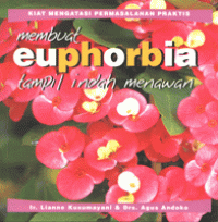 Image of Membuat euphorbia tampil indah menawan