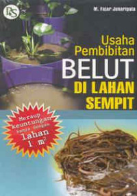 Image of usaha pembibitan belut di lahan sempit