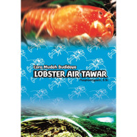 Image of Cara mudah budidaya lobster air tawar