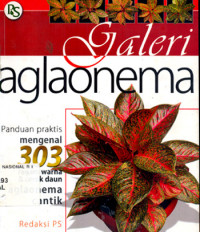 Image of Galeri aglaonema