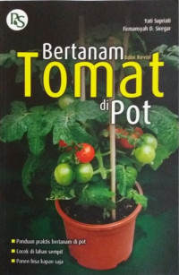 Image of bertanam edisi revisi tomat di pot