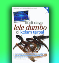Image of Budi daya Lele Dumbo di kolam terpal