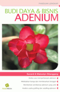 Image of BUDI DAYA DAN BISNIS ADENIUM
