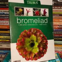 Image of BROMELIAD