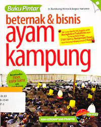 Image of BERTERNAK DAN BISNIS AYAM KAMPUNG