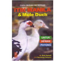 Image of CARA MUDAH BETERNAK ITIK MANILA DAN MULE DUCK