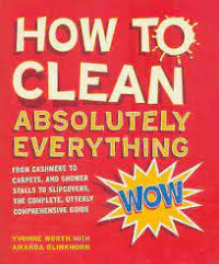 Image of How to clean absolutely everything : dari kashmir sampai karpet, dari shower hingga kain penutup perabot : panduan yang benar-benar lengkap