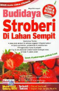 Image of BUDI DAYA STROBERI DI LAHAN SEMPIT