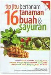 Image of Tip jitu bertanam 16 tanaman buah dan sayuran