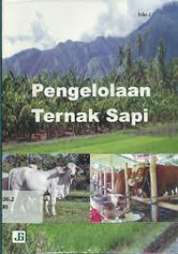 Image of pengelolaan ternak sapi