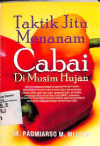 Image of taktik jitu menanam cabai di musim hujan