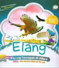 Image of Elang burung tercepat di udara
