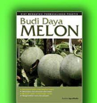 Image of Budi daya melon