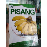 Image of PISANG: BUDI DAYA,PENGOLAHAN,DAN PROSPEK PASAR