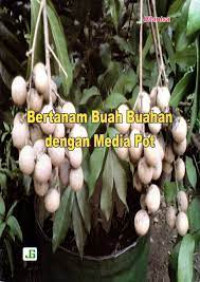 Image of Bertanam Buah Buahan Dengan Media Pot