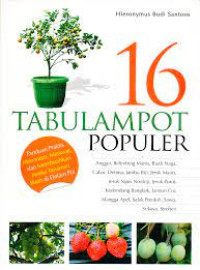 Image of 16 TABULAMPOT POPULER