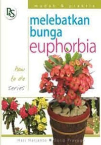 Image of Melebatkan bunga euphorbia