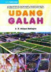 Image of Peluang usaha budi daya udang galah